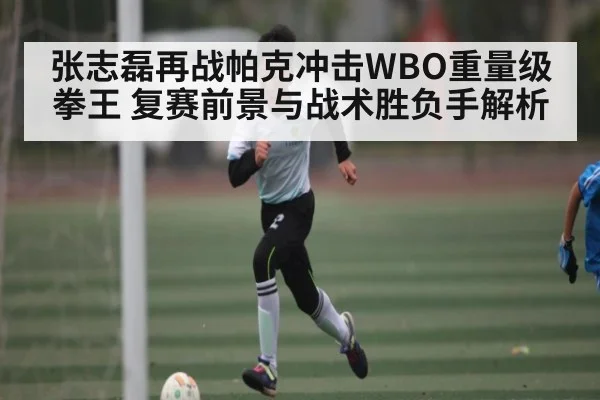 张志磊再战帕克冲击WBO重量级拳王 复赛前景与战术胜负手解析
